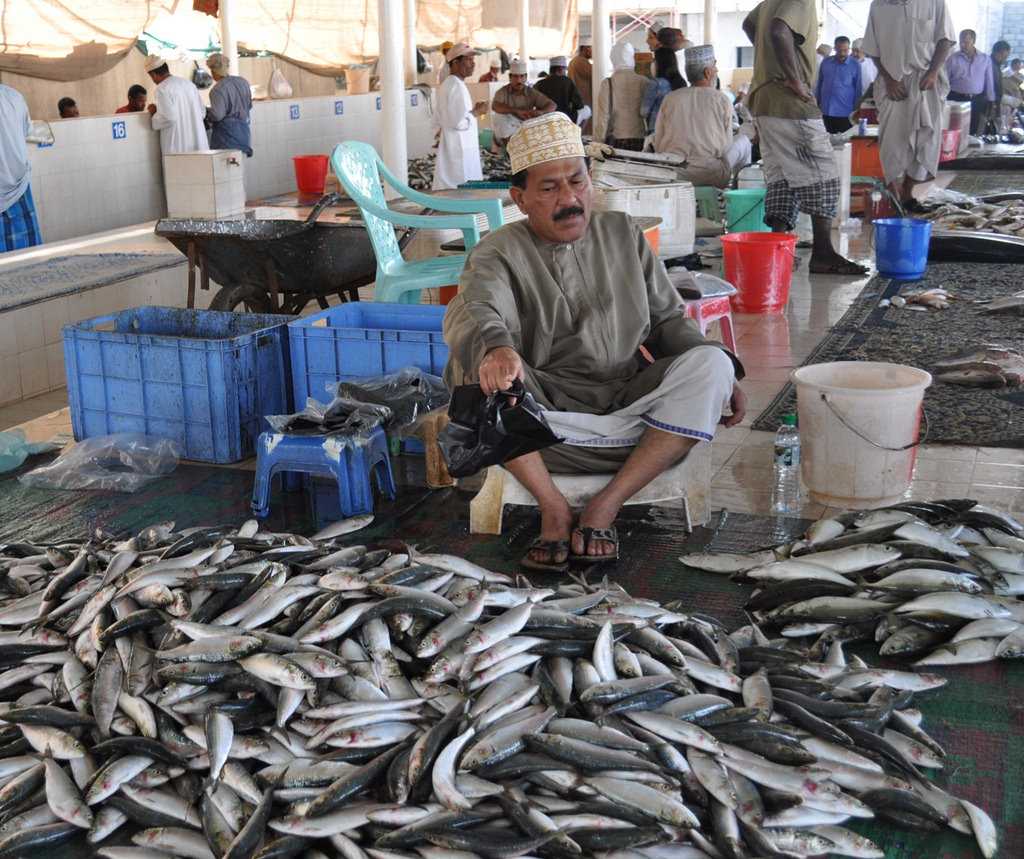 12 Best Shopping Places In Oman 8 Muscat Fish Market