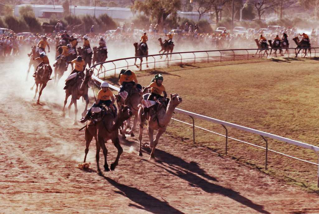Top Festivals in Oman: A Cultural Journey Through Tradition and Celebration 4 Sultan Camel Race Cup