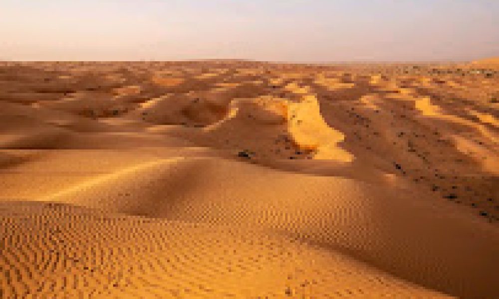 Wahiba Sands 3 Wahiba